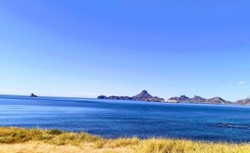 Delfinario Sonora