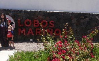 Delfinario Sonora