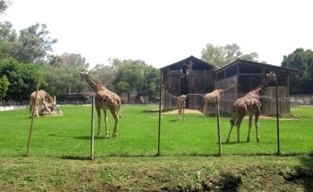 Parque Zoológico Benito Juárez