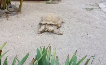 Parque Zoológico Benito Juárez
