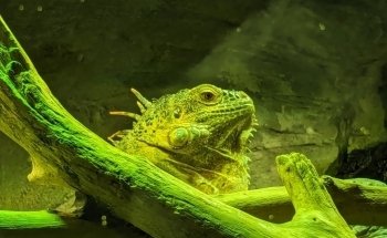 Sevilla Aquarium