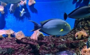 Sevilla Aquarium
