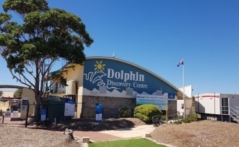 Dolphin Discovery Centre Bunbury