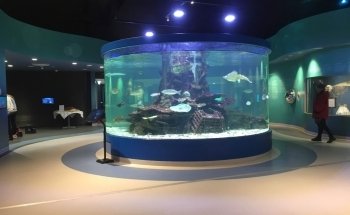 Dolphin Discovery Centre Bunbury