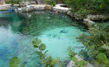 Coral Reef Aquarium Xcaret