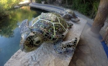 Coral Reef Aquarium Xcaret