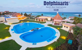 Dolphinaris Tulum at Bahia Principe Hotel