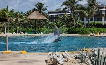 Dolphinaris Tulum at Bahia Principe Hotel