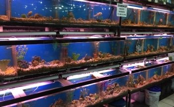 El Acuario Arboledas