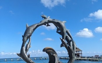 Dolphin Discovery Cozumel