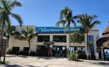 Dolphin Discovery Cozumel