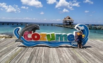 Dolphin Discovery Cozumel