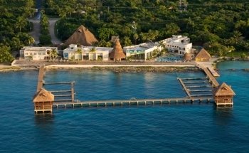 Dolphin Discovery Cozumel