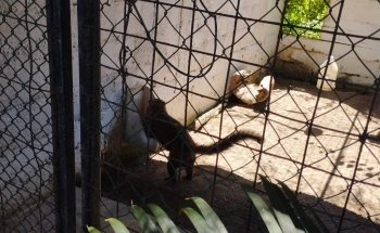 Acuario Tecolutla