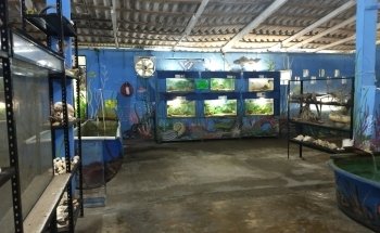 Acuario Tecolutla