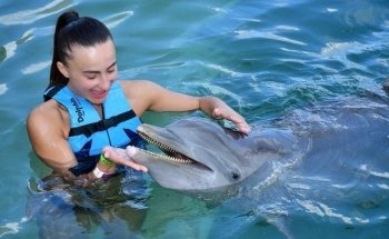Dolphin Discovery Costa Maya