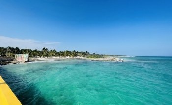 Dolphin Discovery Costa Maya