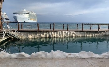 Dolphin Discovery Costa Maya