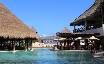 Dolphin Discovery Costa Maya