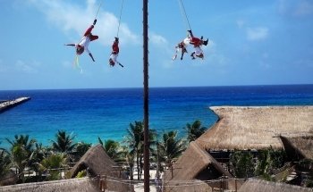 Dolphin Discovery Costa Maya