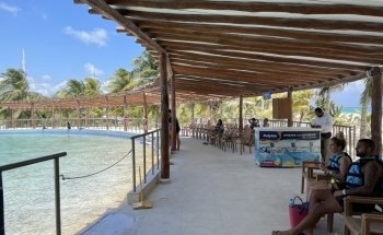 Dolphin Discovery Playa del Carmen