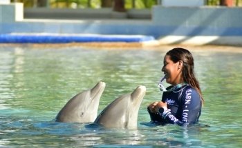 Dolphin Discovery Playa del Carmen
