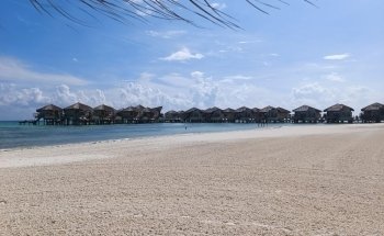 Dolphin Discovery Playa del Carmen