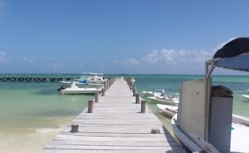 Dolphin Discovery Playa del Carmen