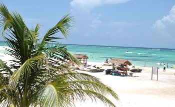 Dolphin Discovery Playa del Carmen