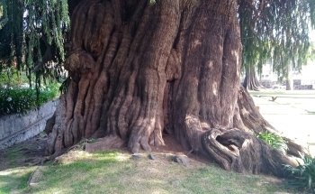 Criadero de truchas Xouilin
