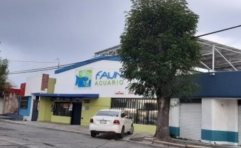 Fauna Acuario