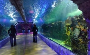 Acuario Interactivo