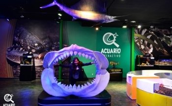 Acuario Interactivo
