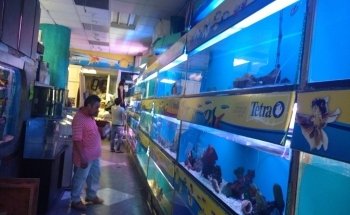La Casa de los Peces