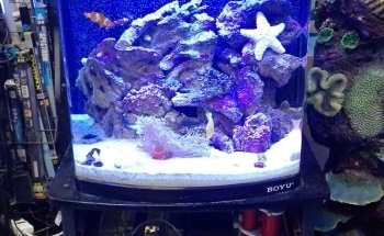 La Casa de los Peces