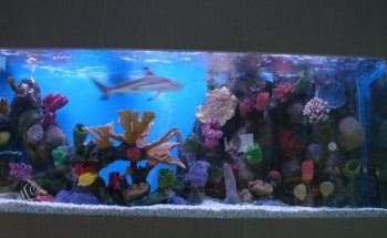 La Casa de los Peces