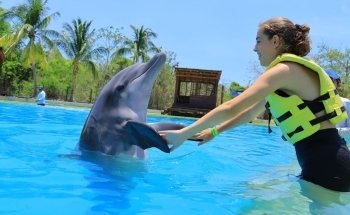 Dolphinaris Riviera Maya