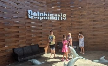 Dolphinaris Riviera Maya