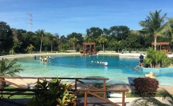 Dolphinaris Riviera Maya