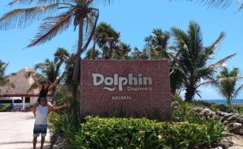 Dolphin Discovery Tulum-Akumal