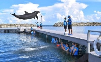 Delphinus Puerto Morelos