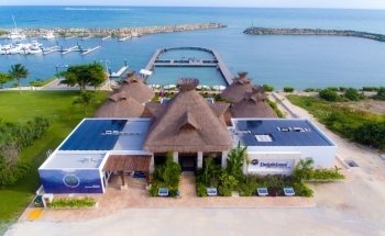 Delphinus Puerto Morelos