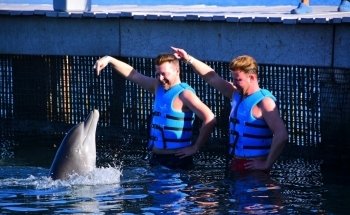 Delphinus Puerto Morelos