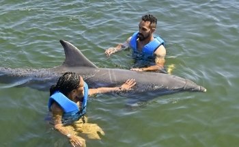 Delphinus Puerto Morelos