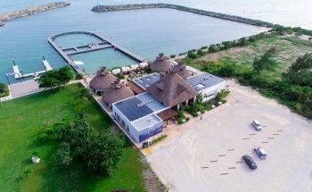 Delphinus Puerto Morelos
