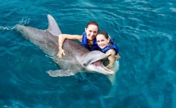Delphinus Puerto Morelos