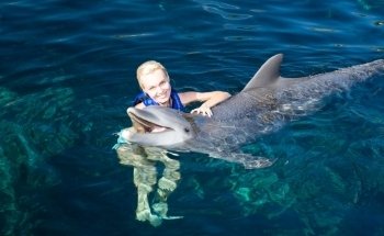 Delphinus Puerto Morelos