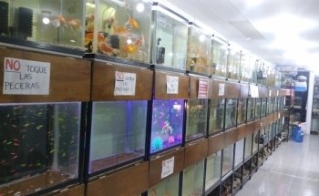 Acuario y Tienda de Mascotas MascoPlaza