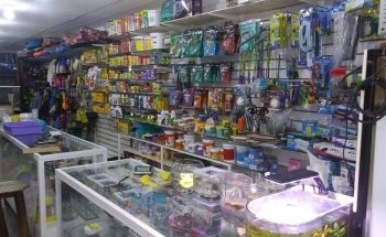Acuario y Tienda de Mascotas MascoPlaza