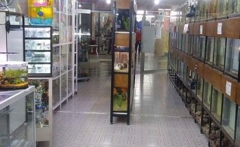 Acuario y Tienda de Mascotas MascoPlaza